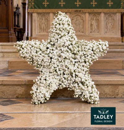 White Gypsophila Star